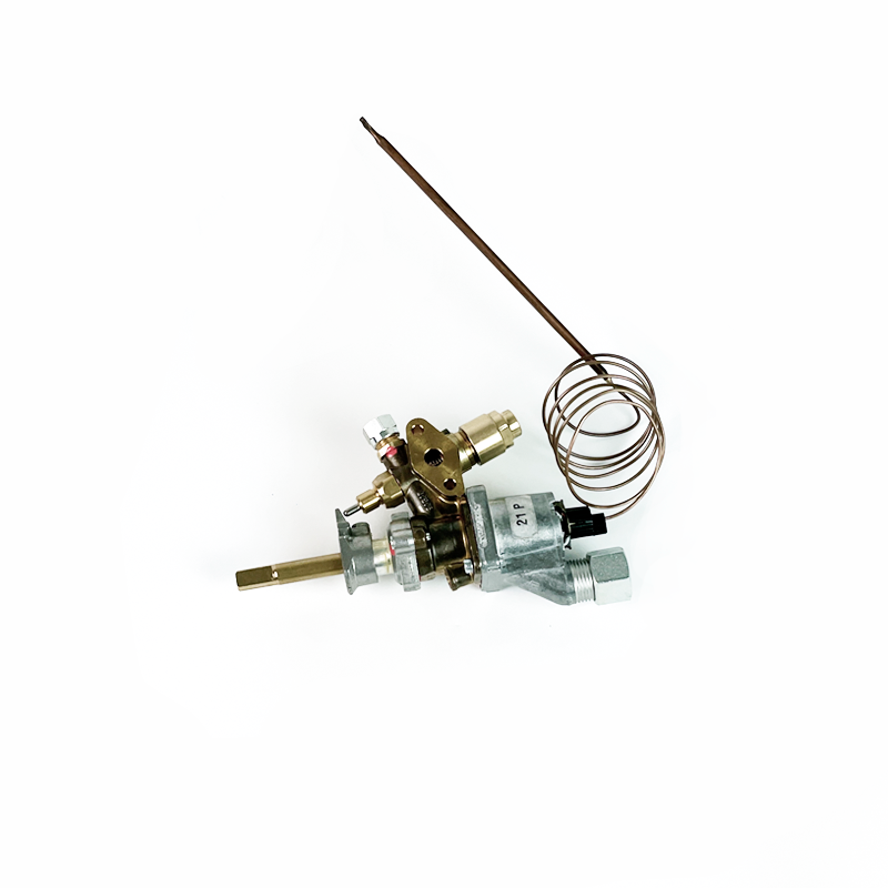 Thermostat TS 7575-1 XA CE21 Italian